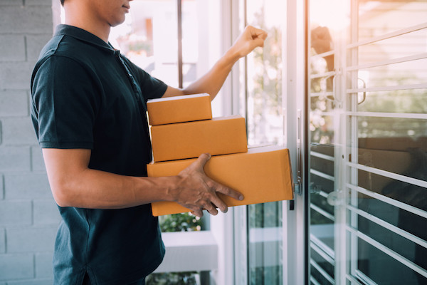 Domestic Delivery